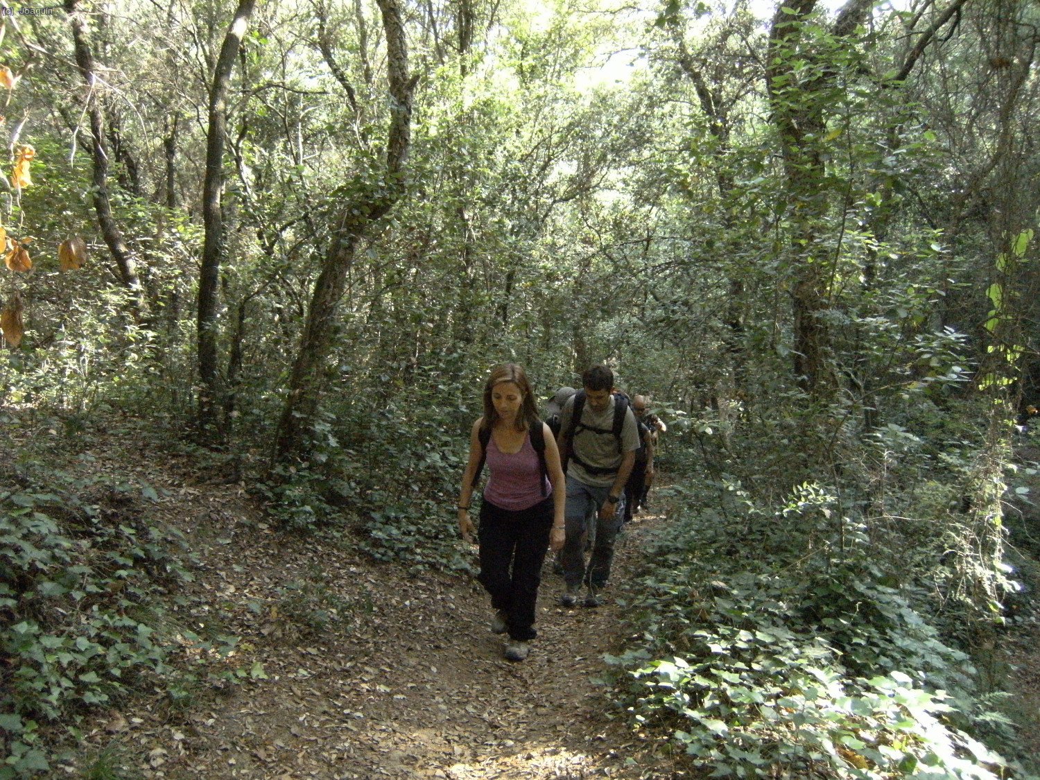 Xenia delante en la ruta de Les Fonts