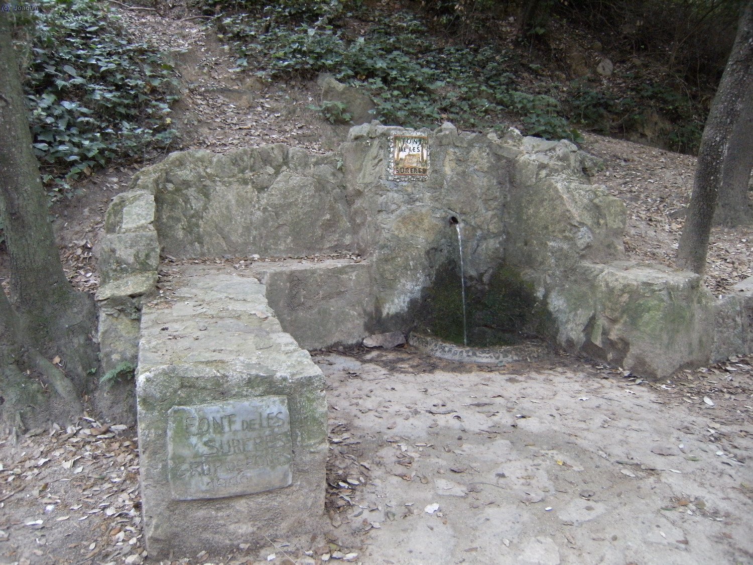 Font de Les Sureres