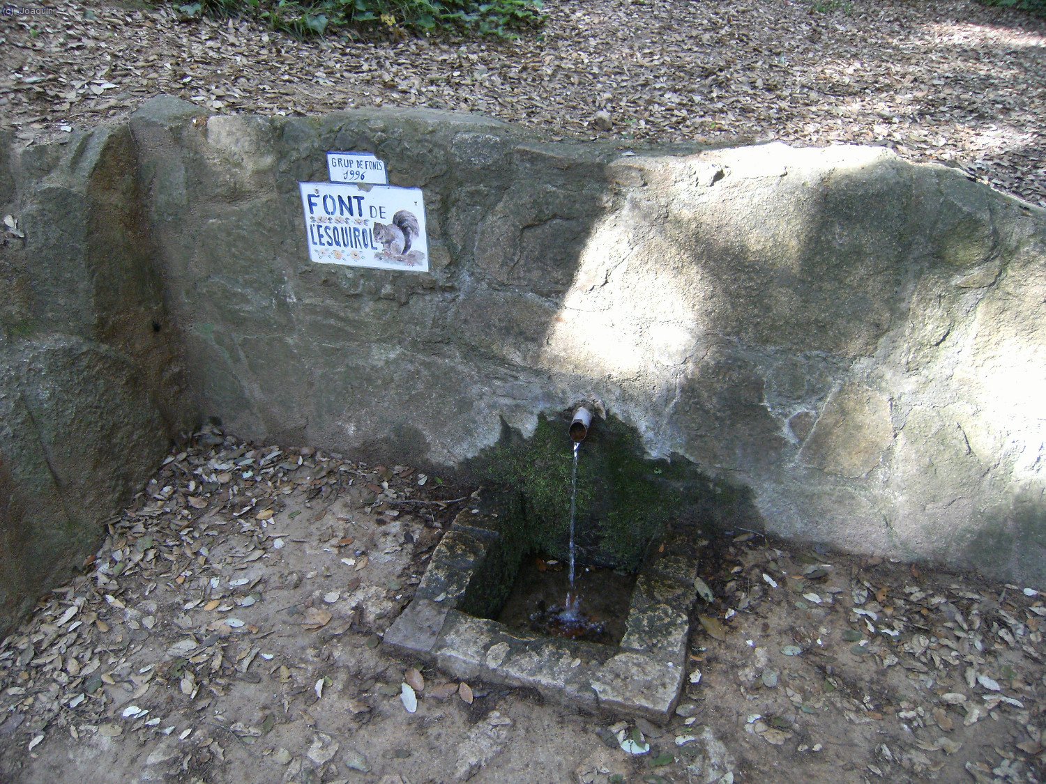 Font de l