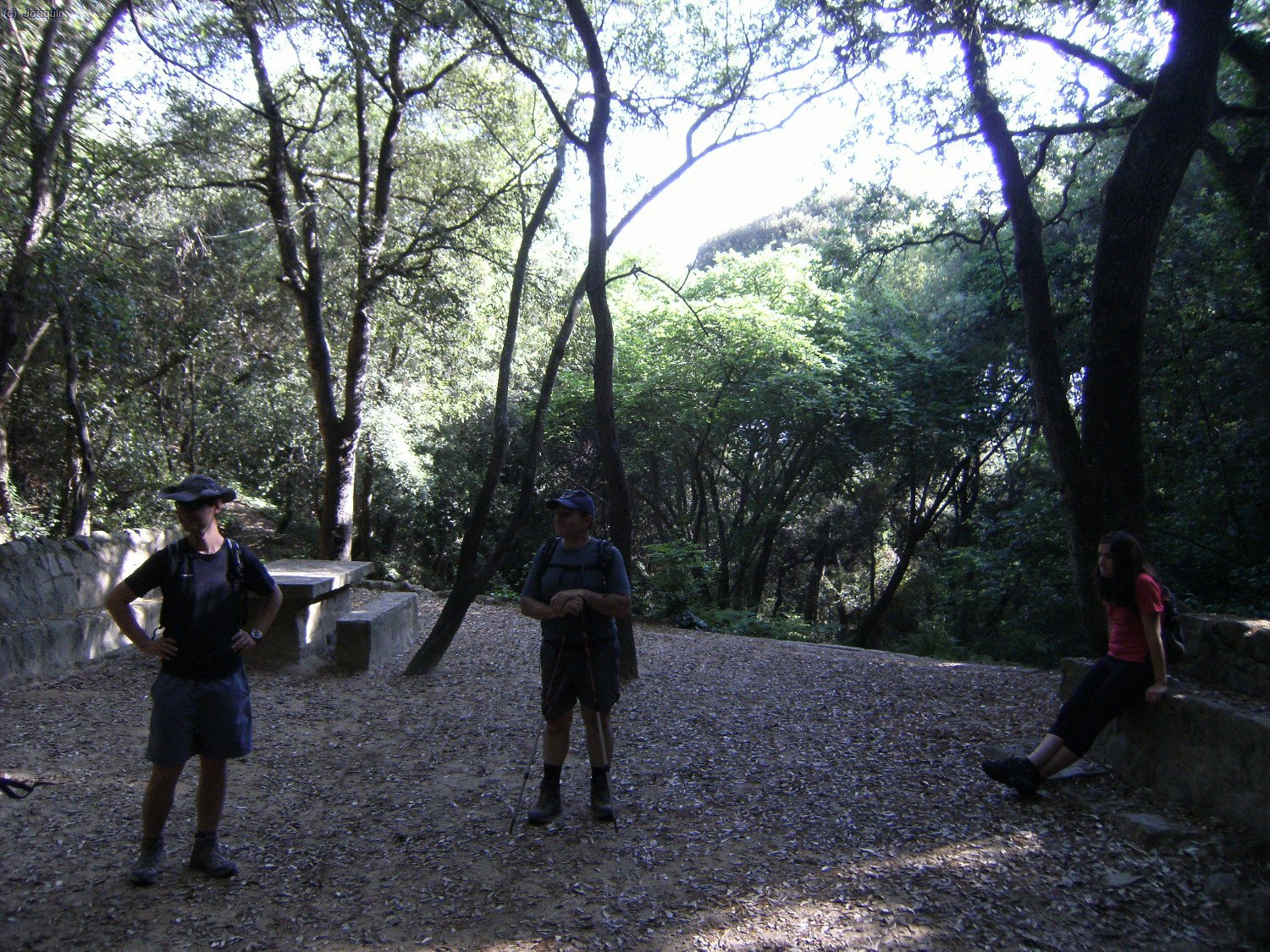En la Font del Ferro