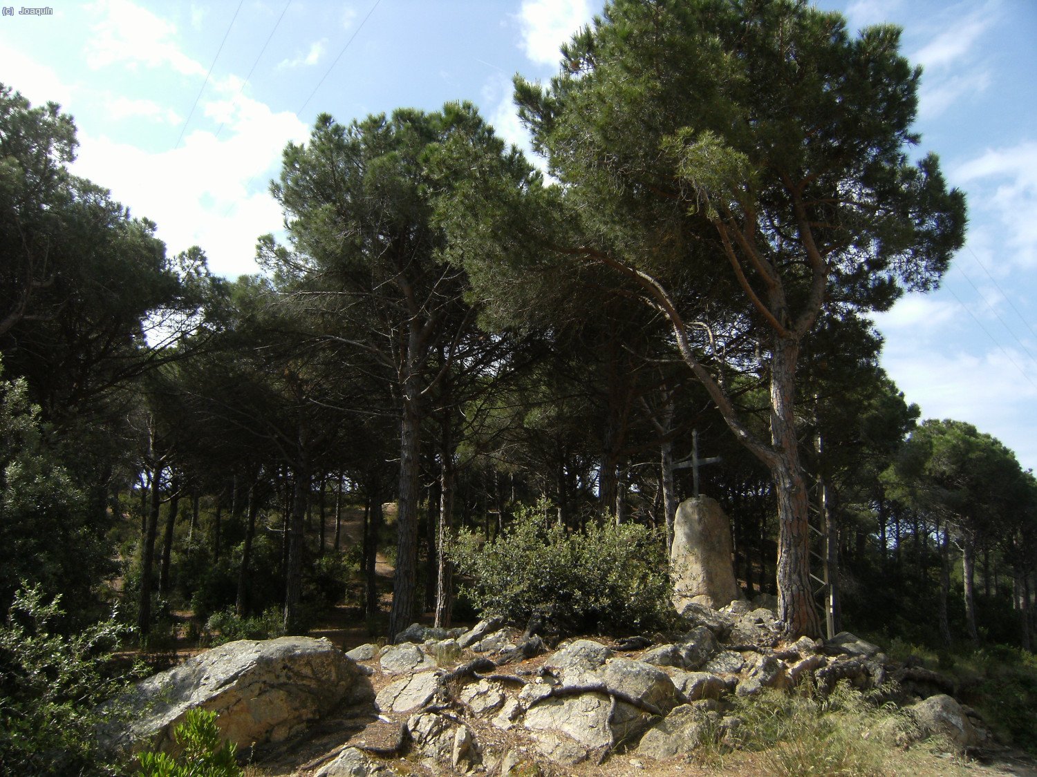 Creu de l