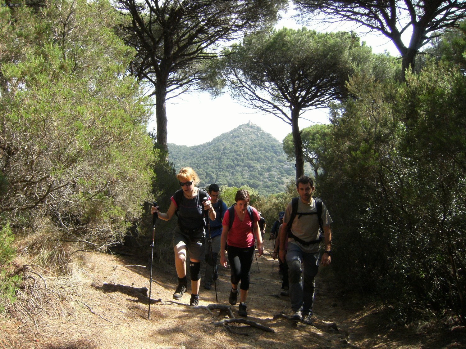 Camino del Montcabrer, al fondo queda el Castell de Burriac