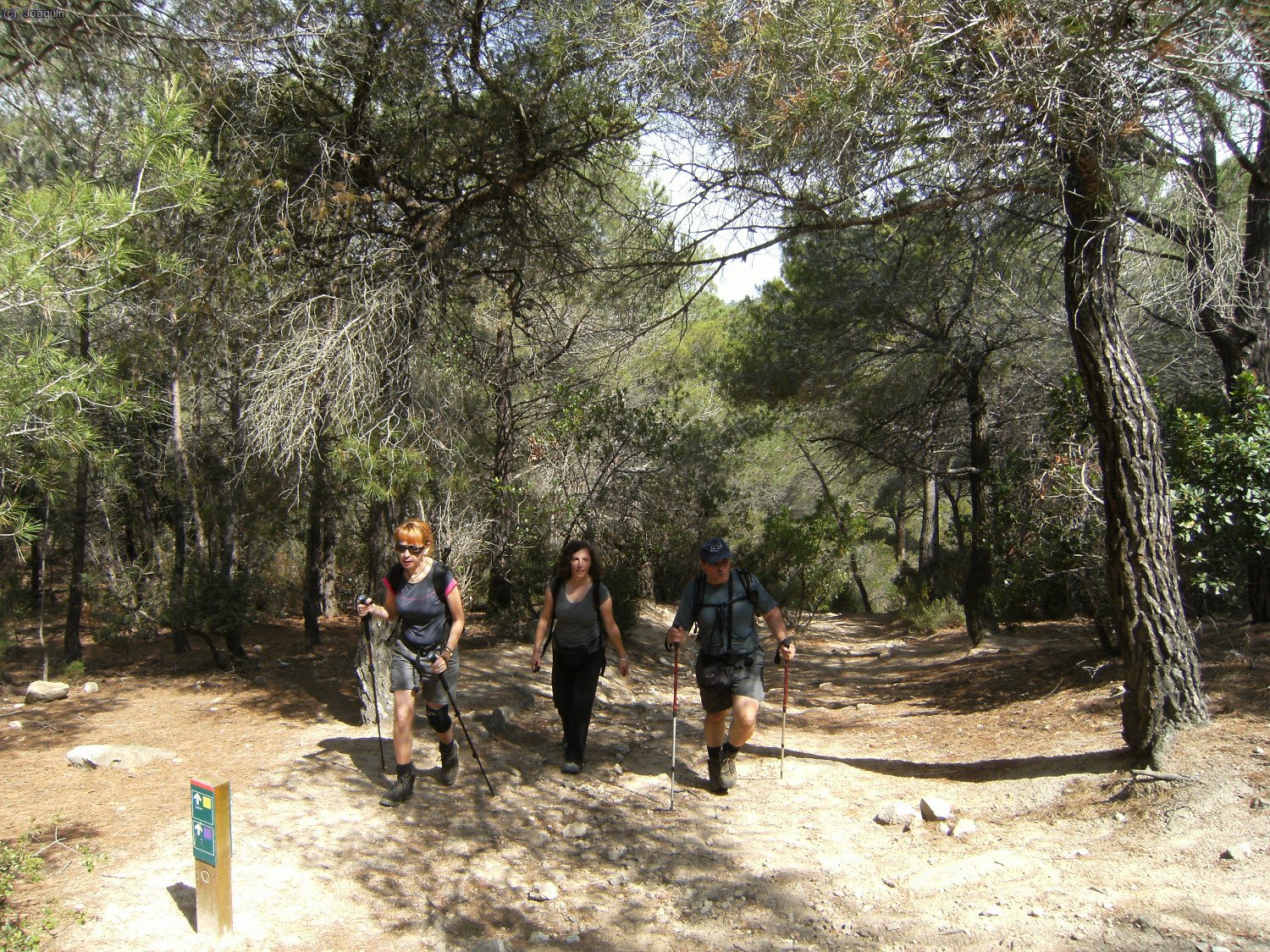 Camino del Montcabrer