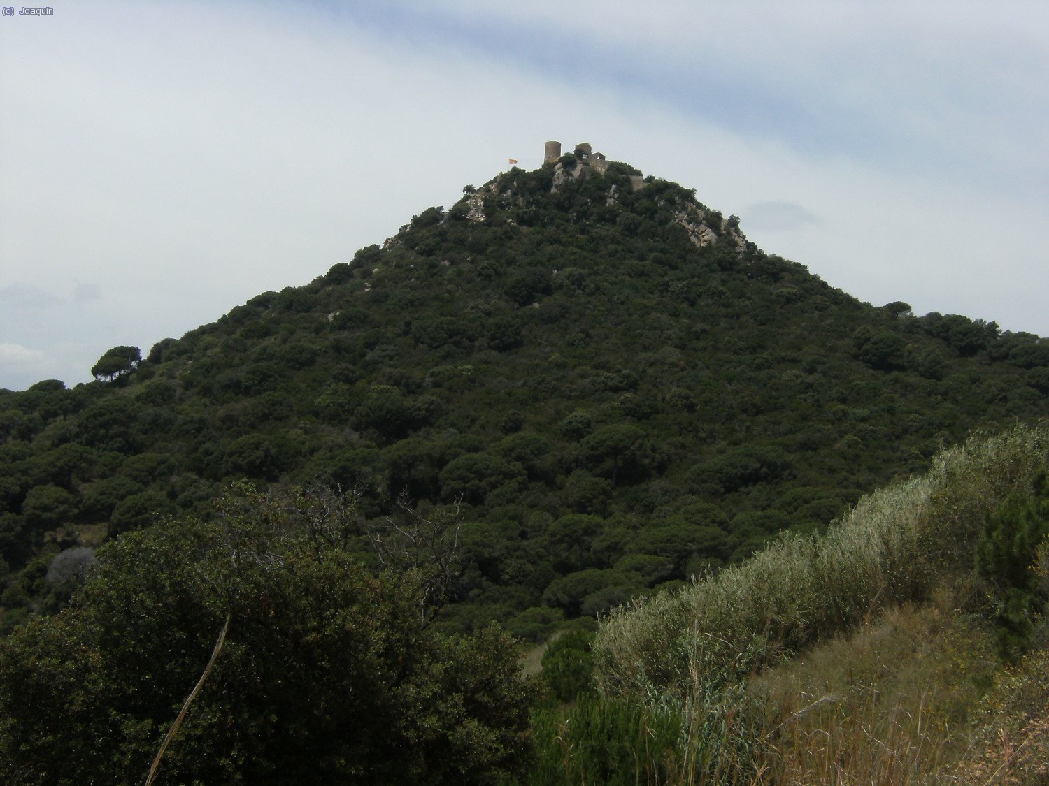 Castell de Burriac