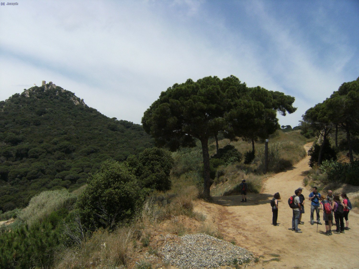 Cerca del Collet de Burriac