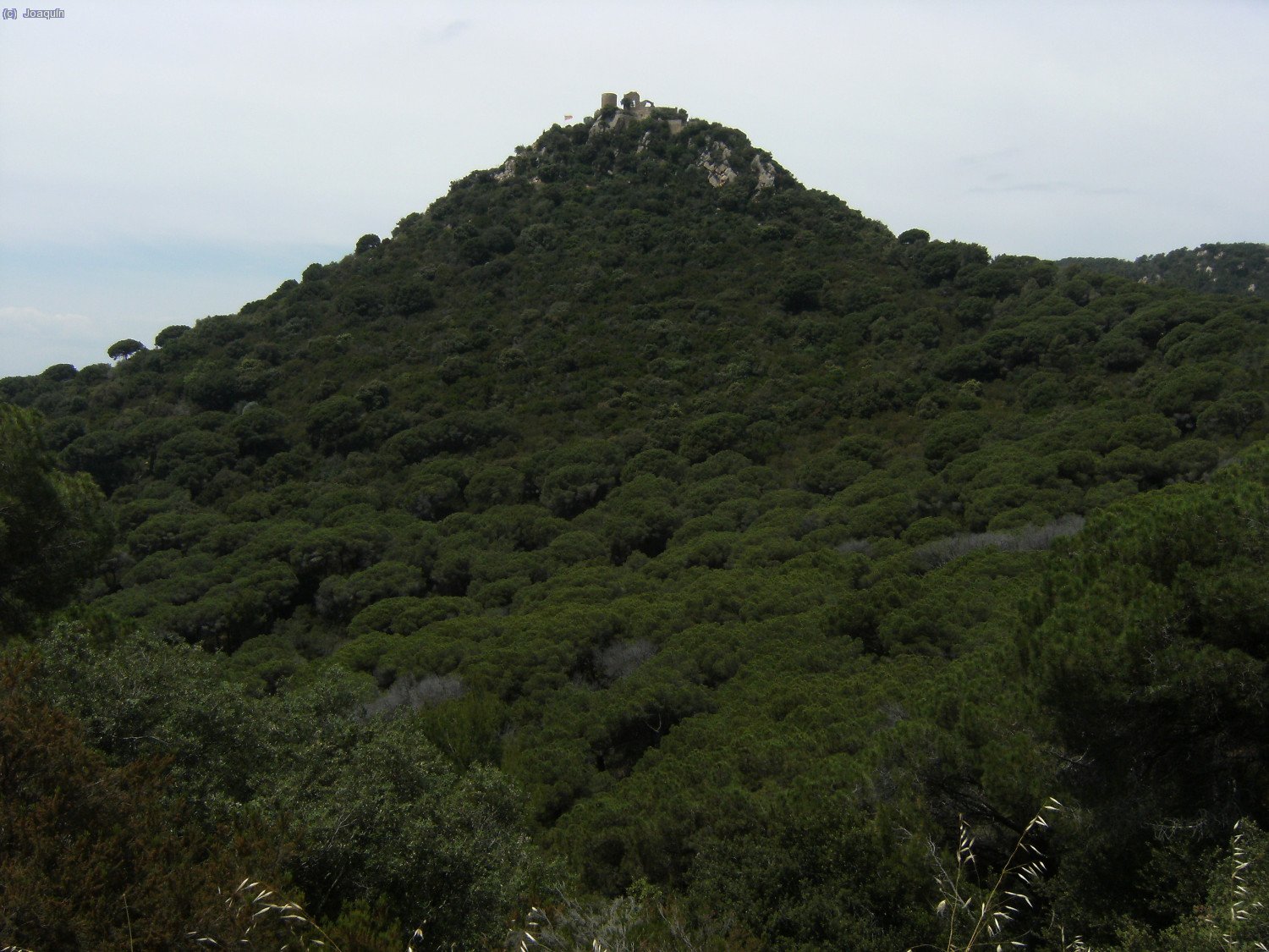 Castell de Burriac
