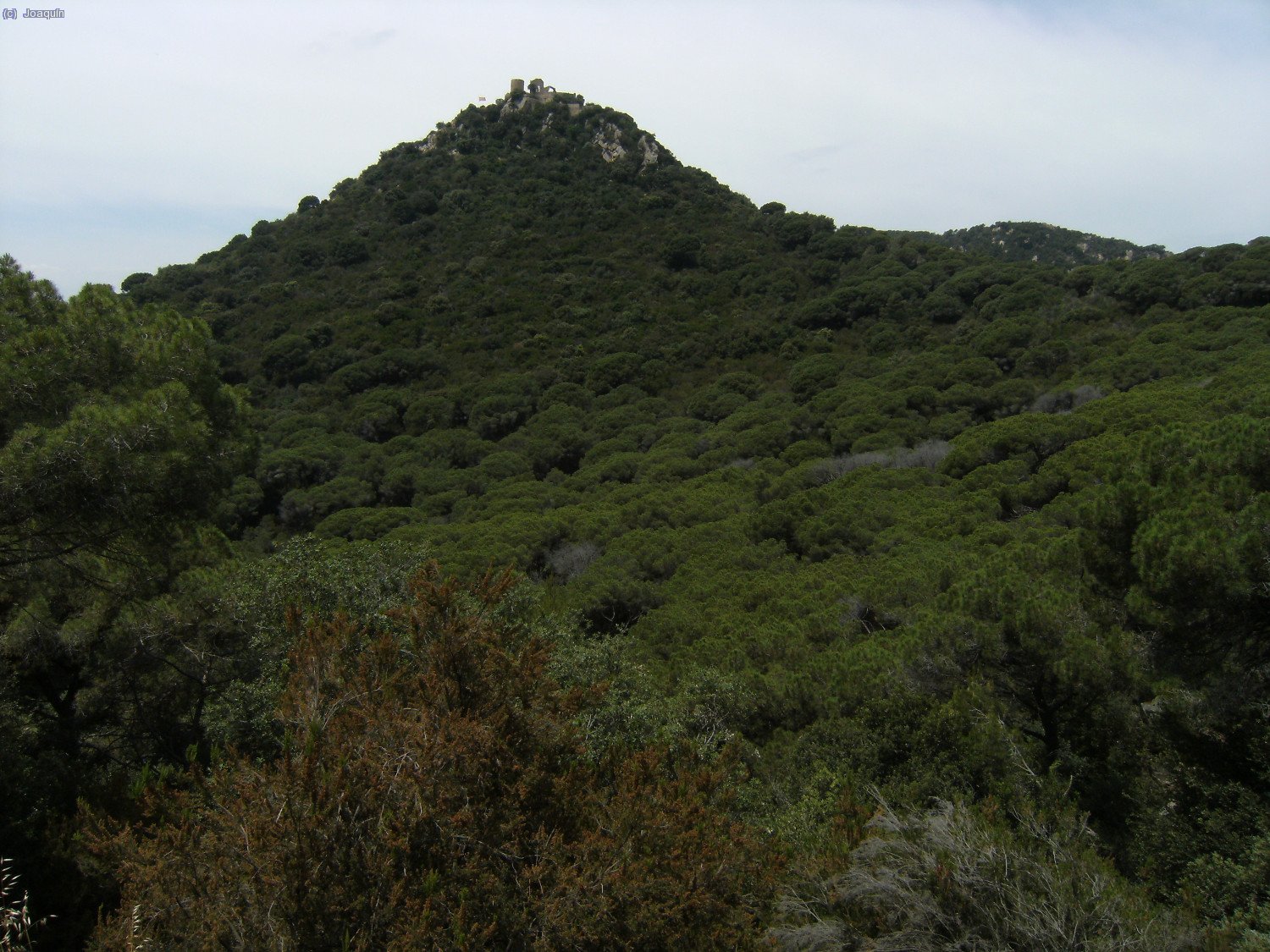 Castell de Burriac