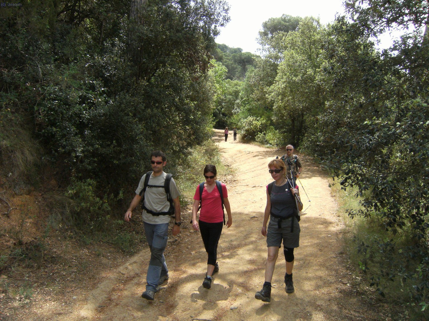 Camino de bajada a Argentona