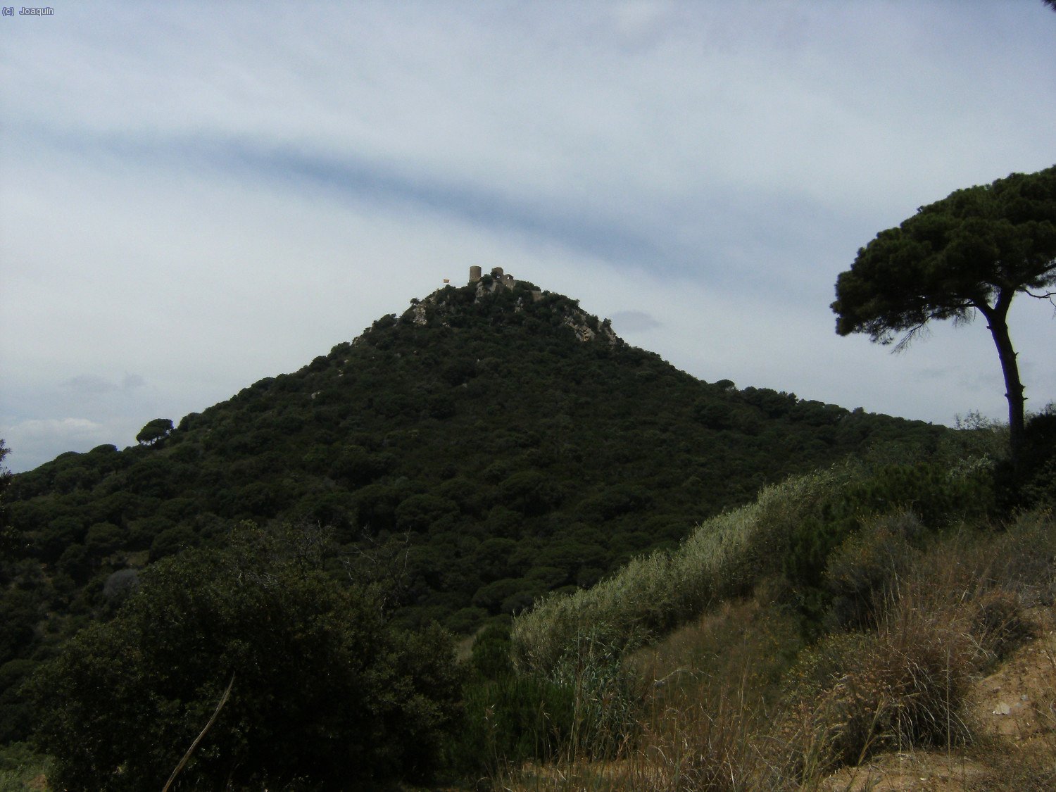 Castell de Burriac
