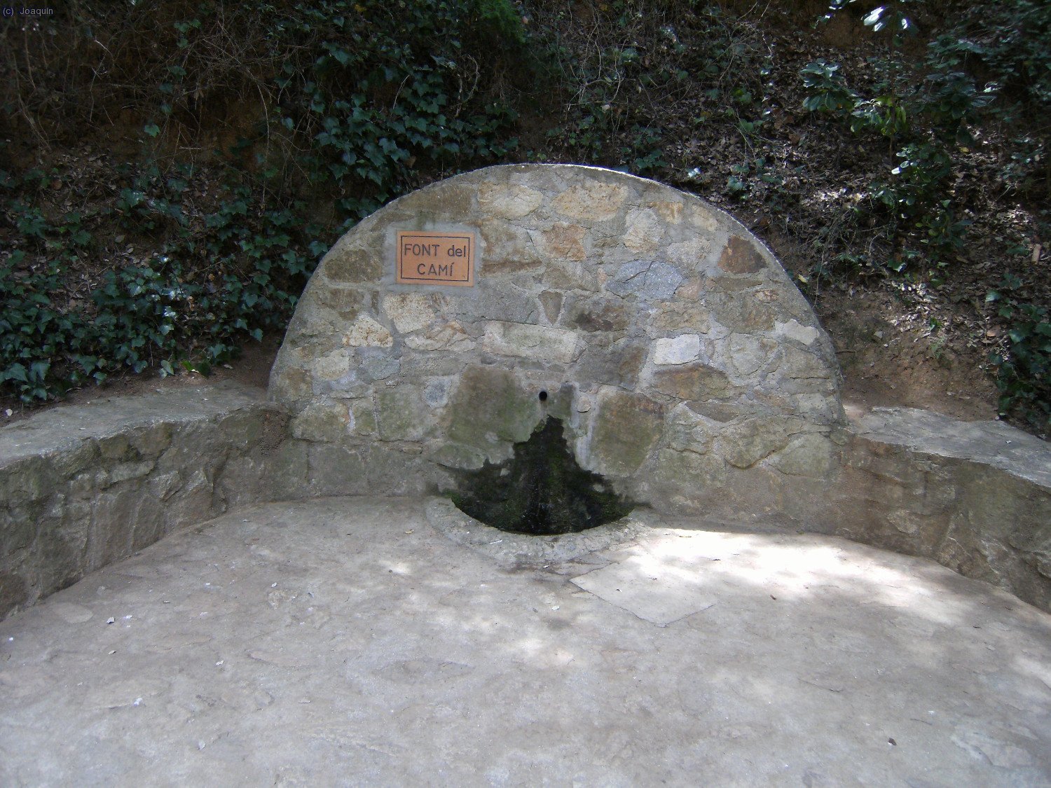 Font del Cam&iacute;