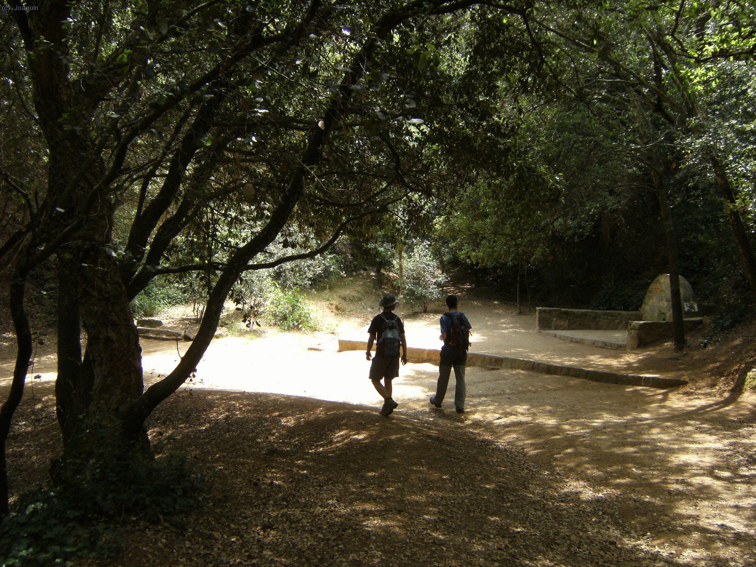 Font del Cam&iacute;
