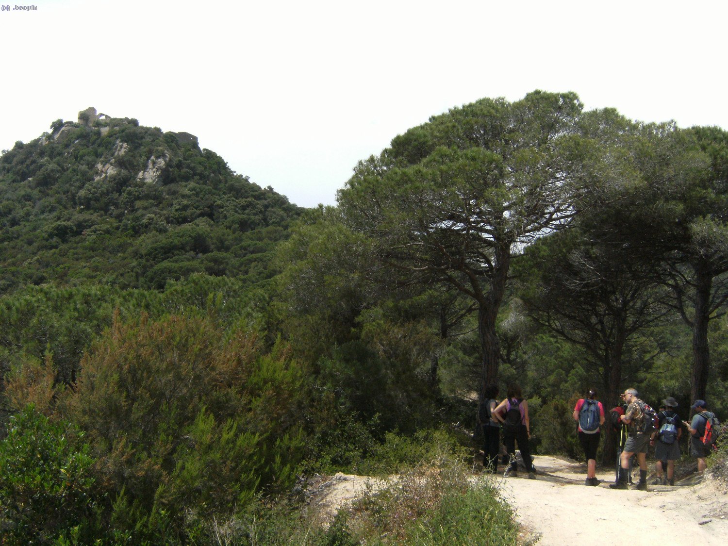 Cerca del Collet de Burriac