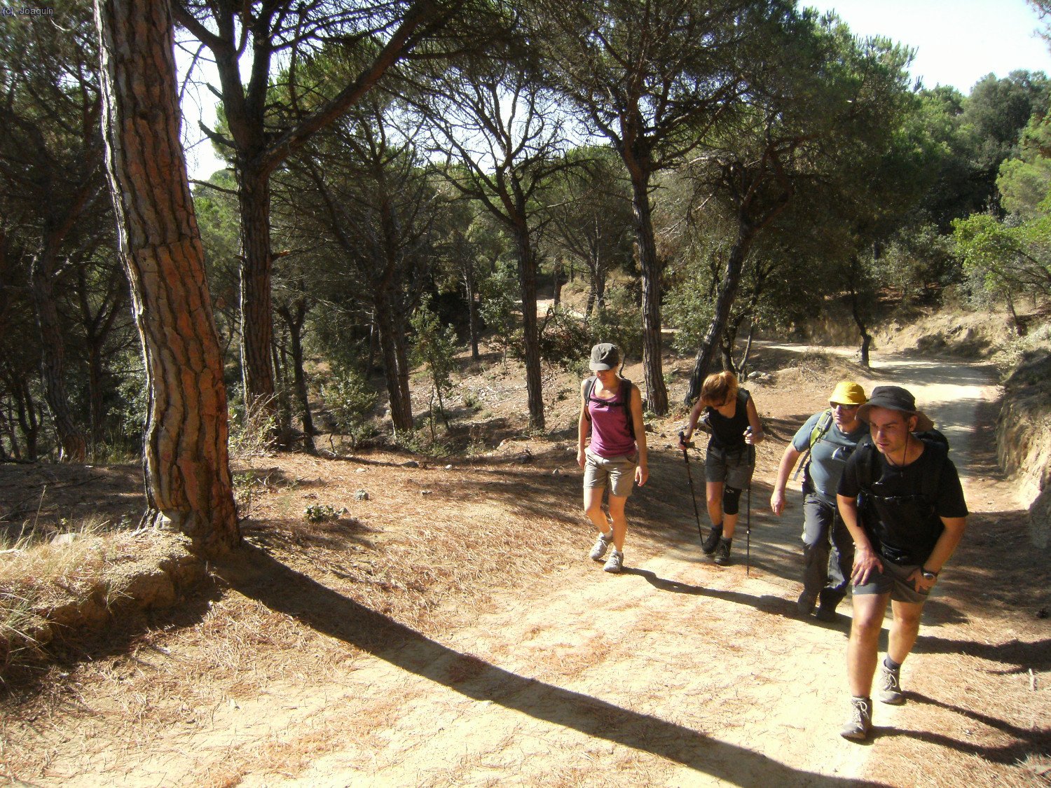 Camino de Sant Mateu