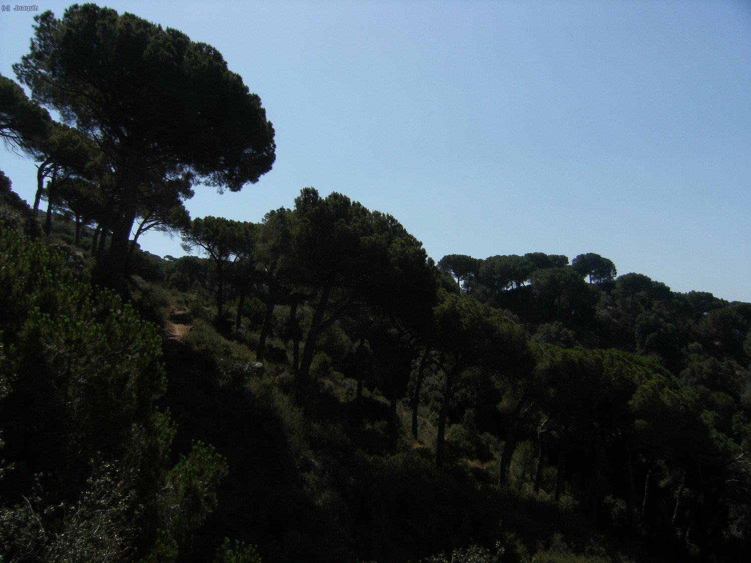 Cruzamos la loma hac&iacute;a la Font del Peric&oacute; d’en Canal