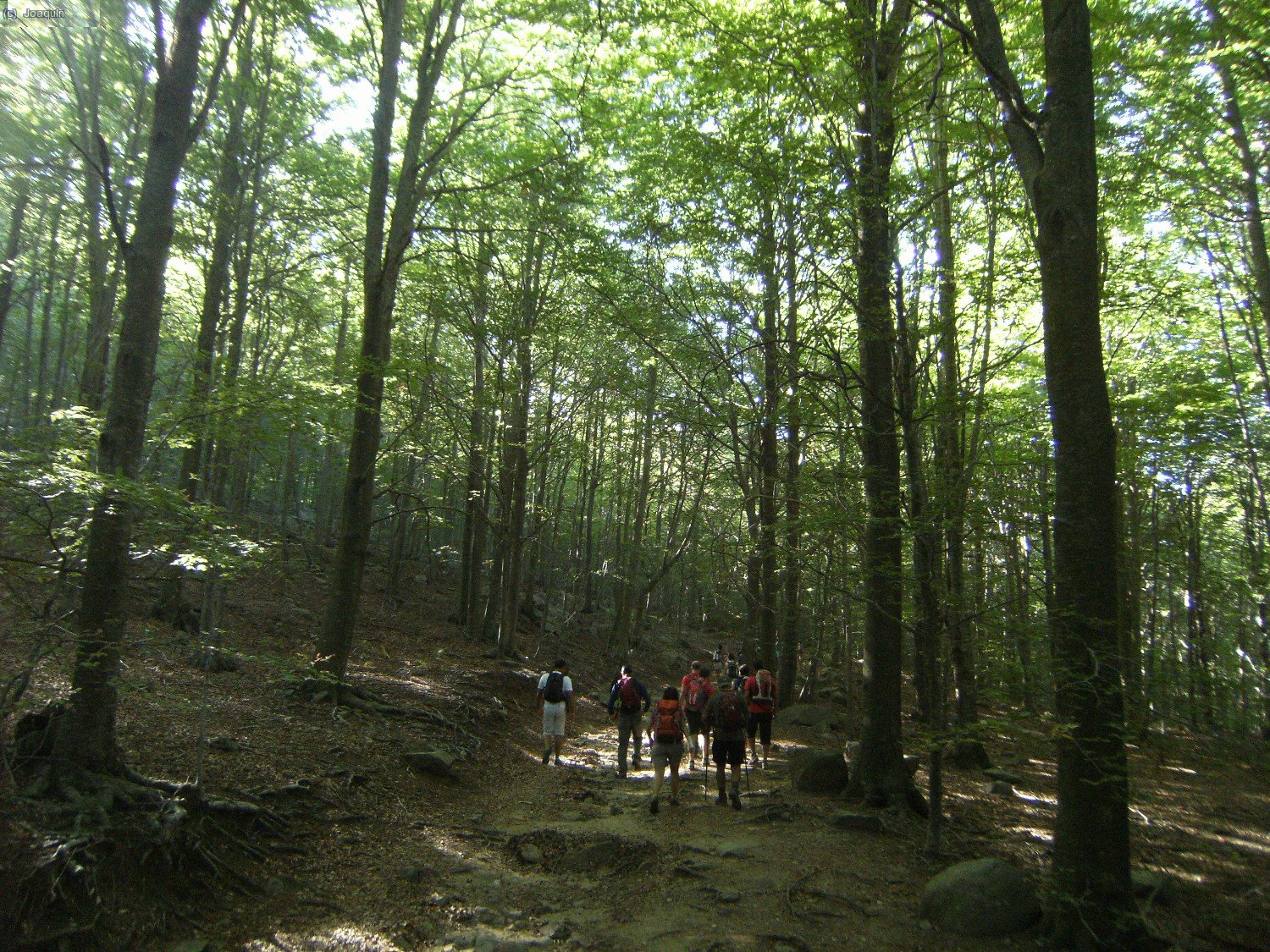 Alrededores del Pla de Malladius