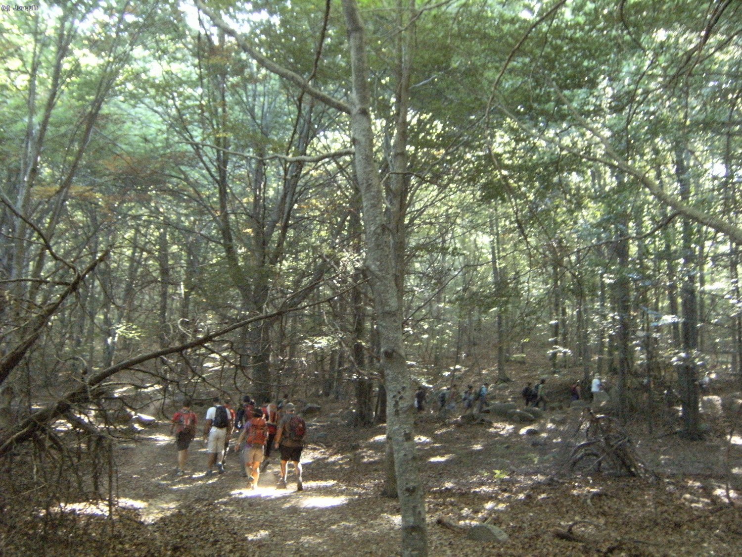 Alrededores del Pla de Malladius