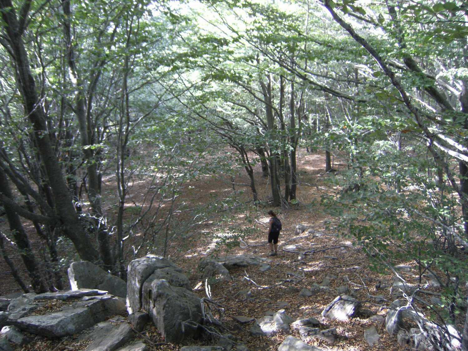 Irene por los alrededores del Tur&oacute; Morou