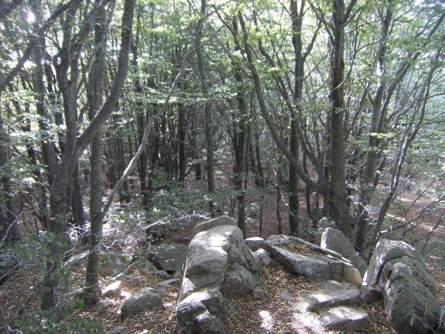 Alrededores del Tur&oacute; Morou