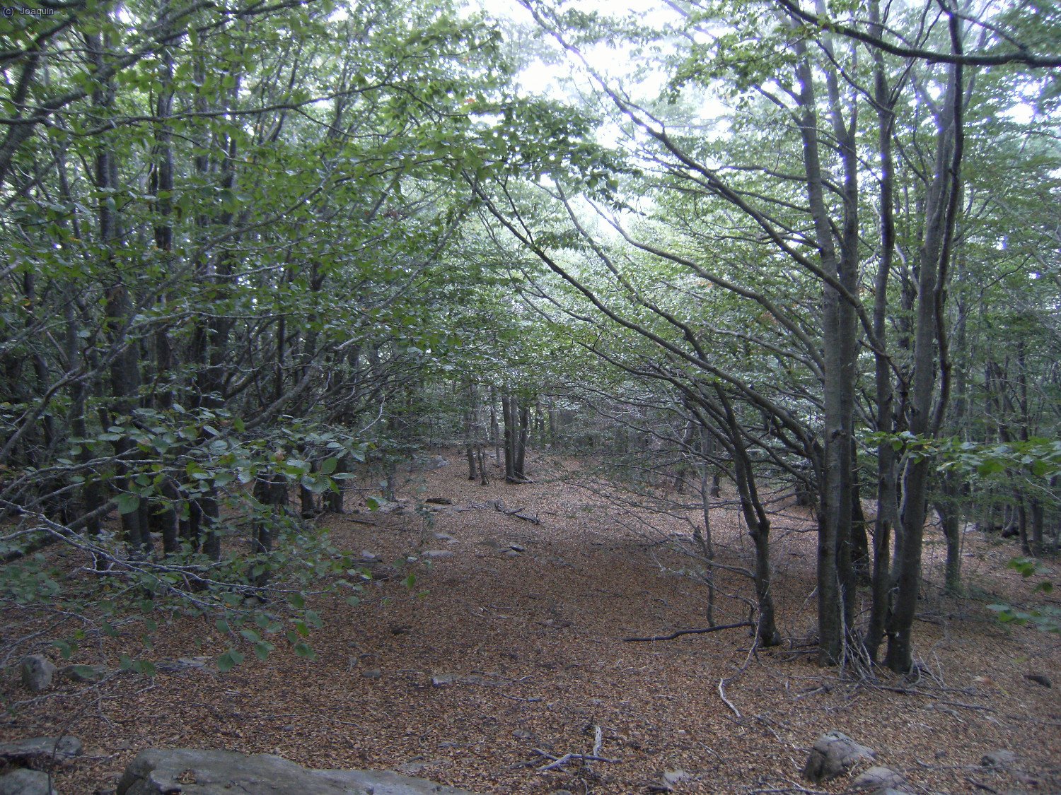 Alrededores del Tur&oacute; Morou