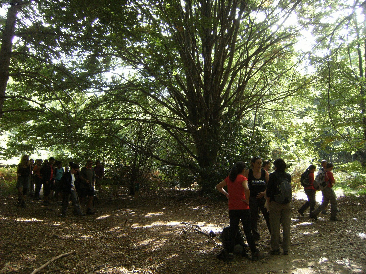 Camino del Pla de Malladius