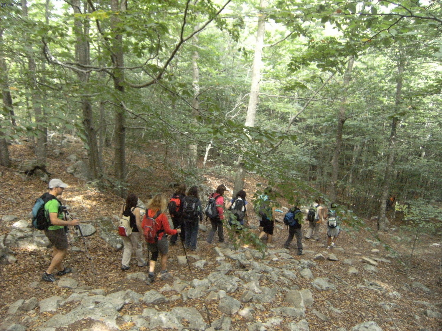 Bajamos del Tur&oacute; Morou