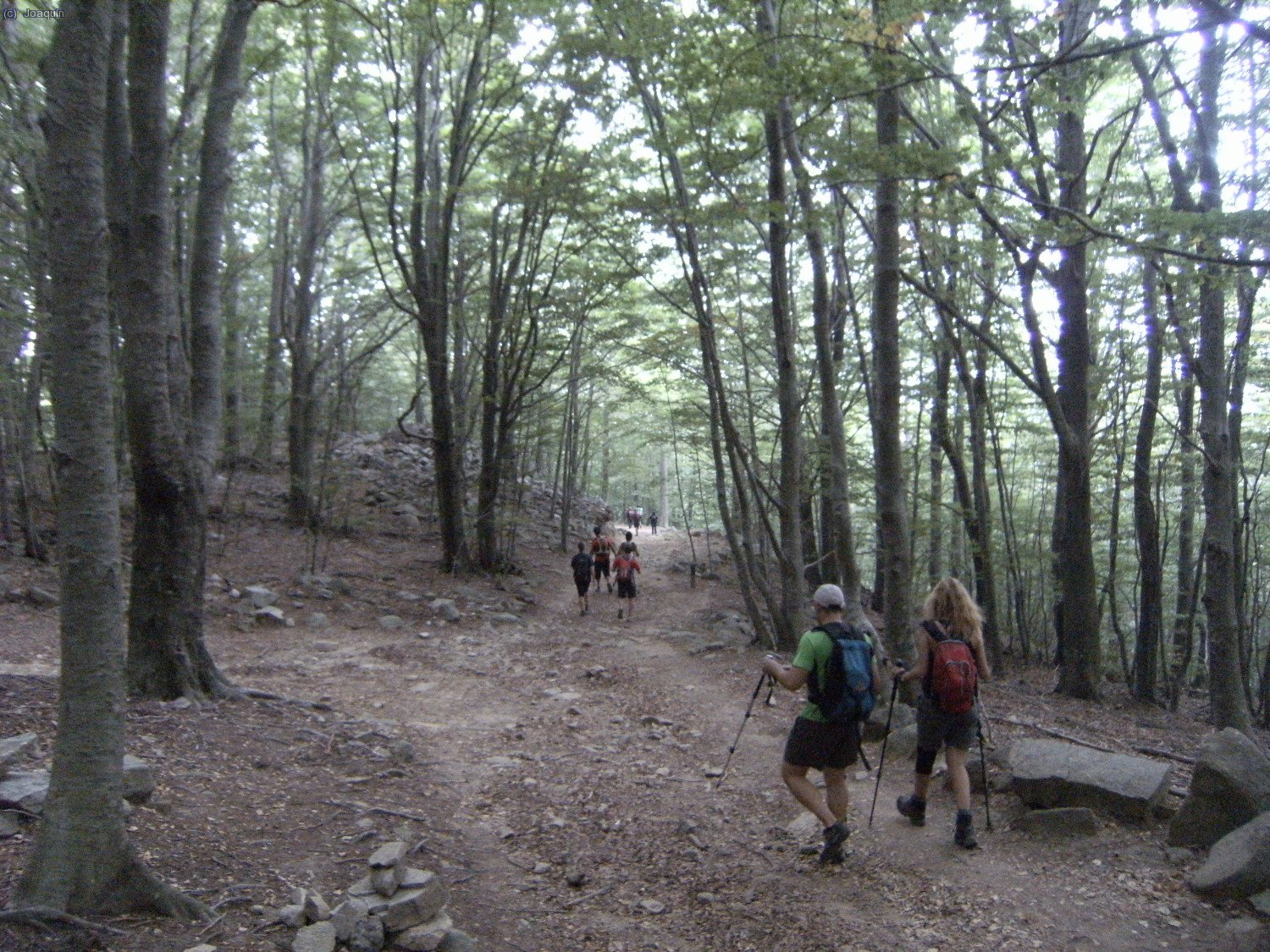 Toni y Anna bajando por el magn&iacute;fico hayedo al Pantano de Santa Fe