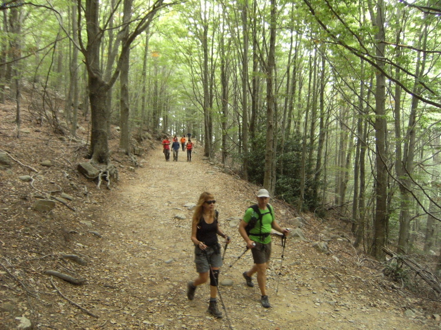 Anna y Toni bajando por el magn&iacute;fico hayedo al Pantano de Santa Fe
