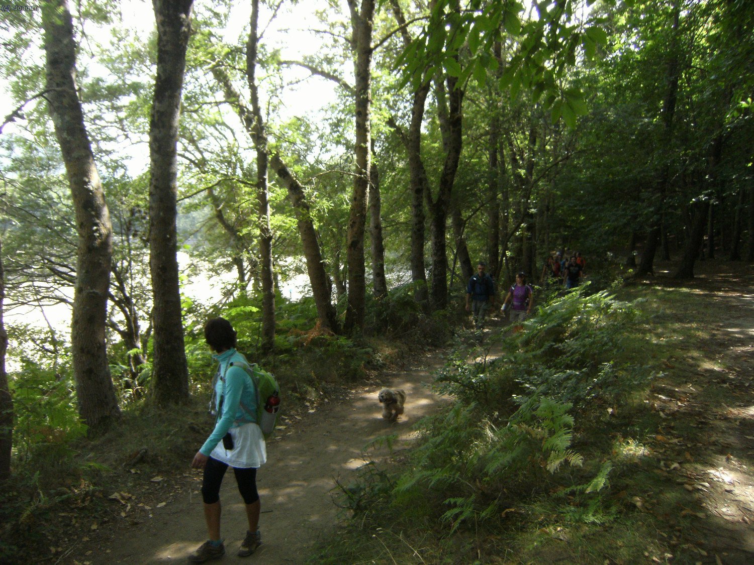 Camino de Santa Fe