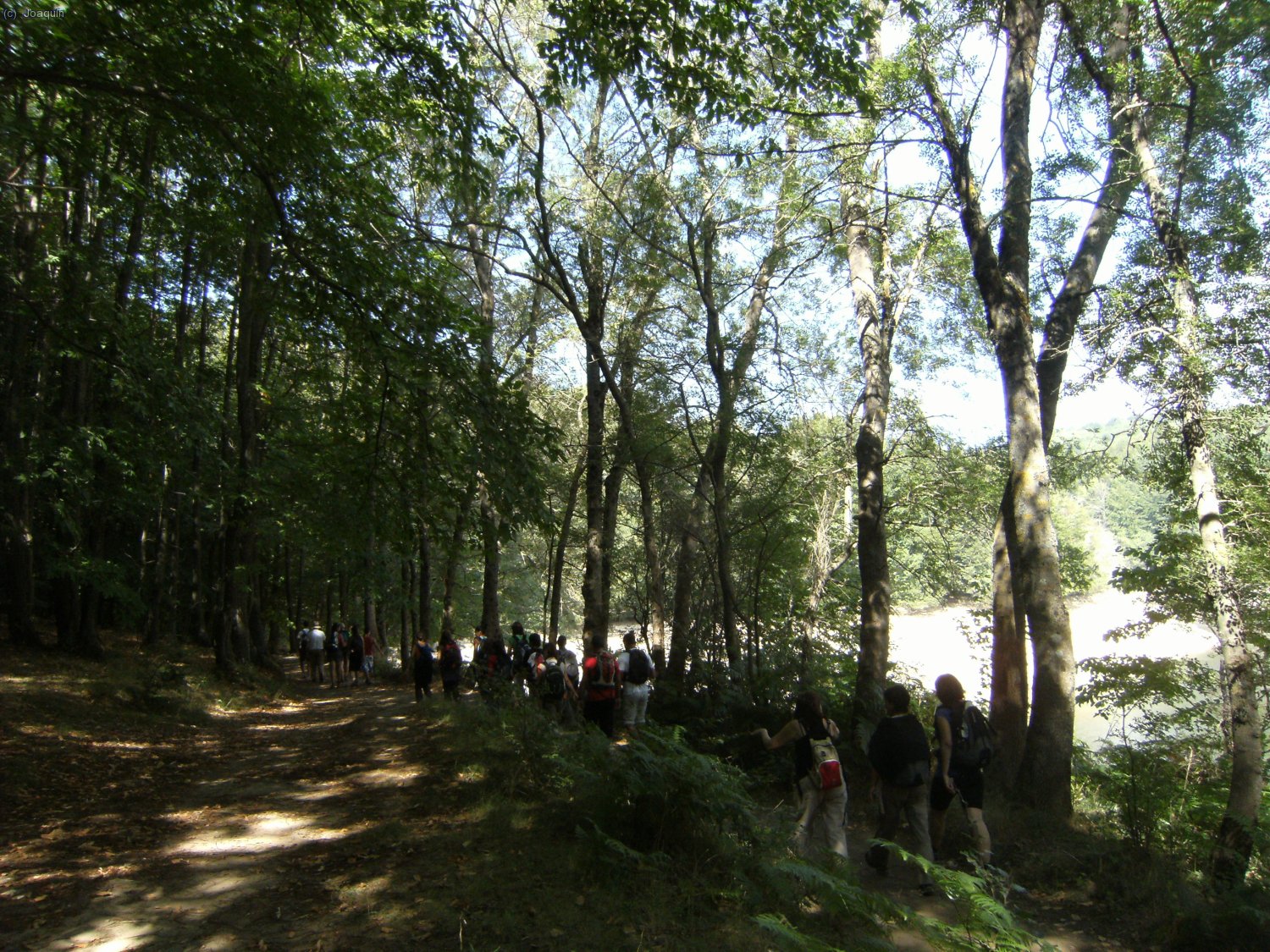 Camino de Santa Fe