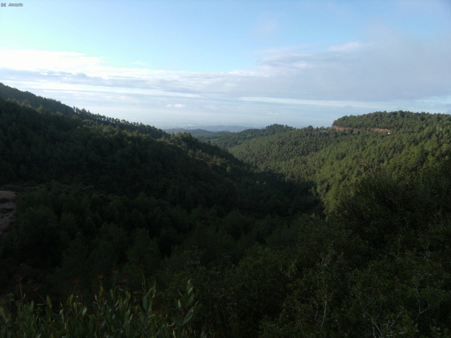 Valle de la batalla del Bruc