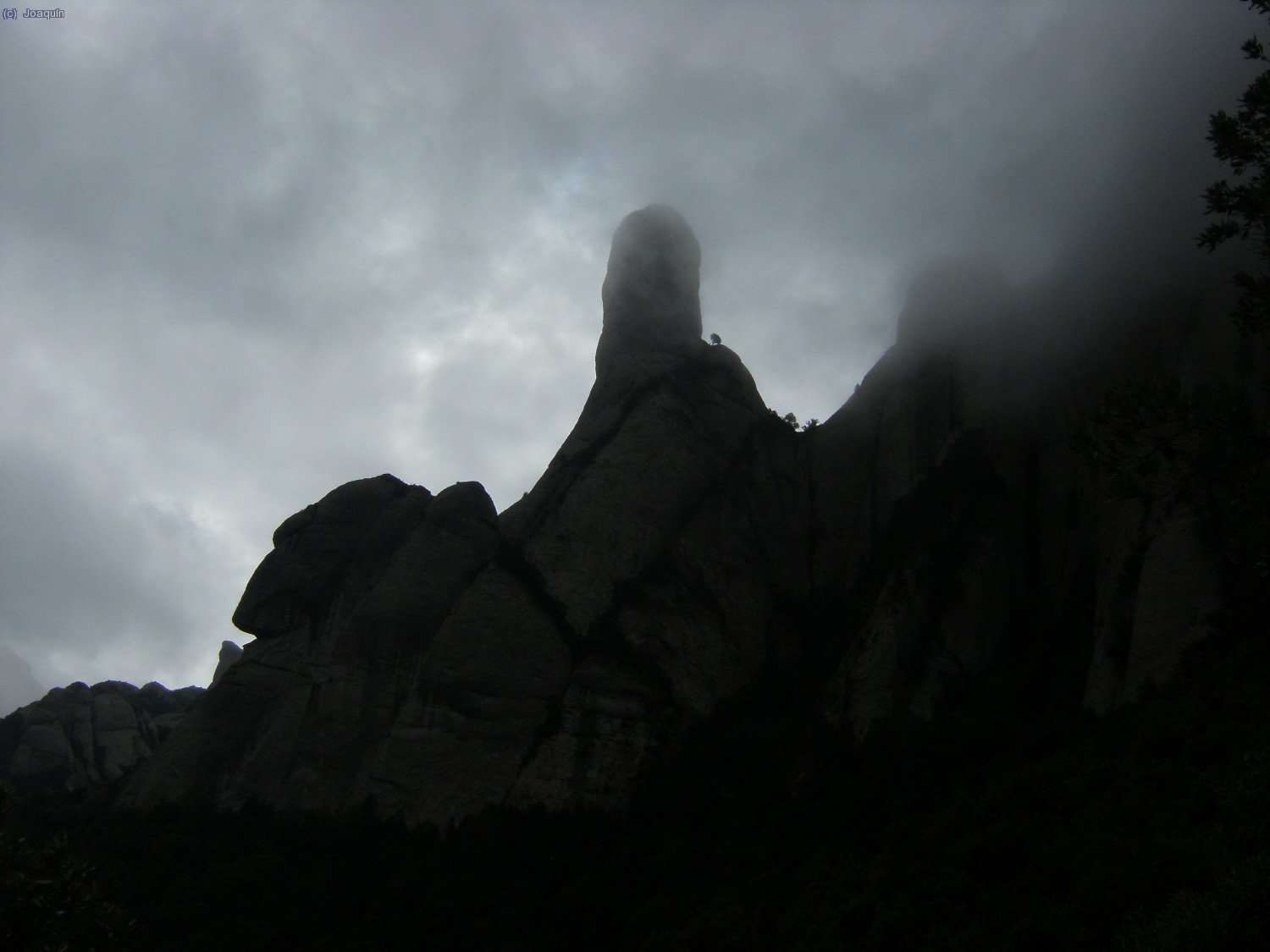 Bajo el Cavall Bernat