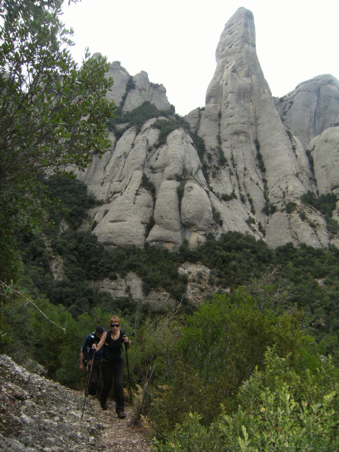 Al otro lado del Cavall Bernat