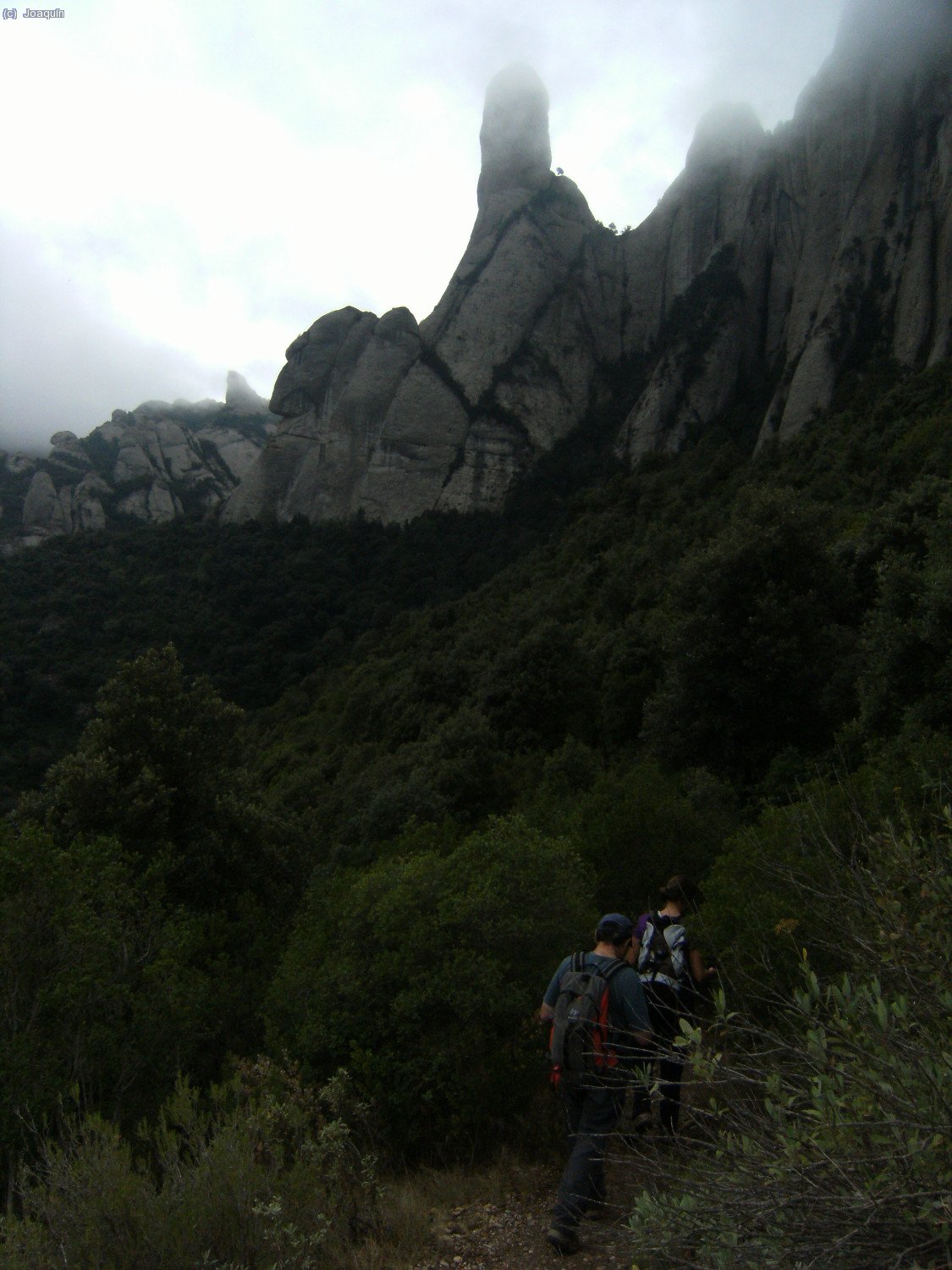 Bajo el Cavall Bernat