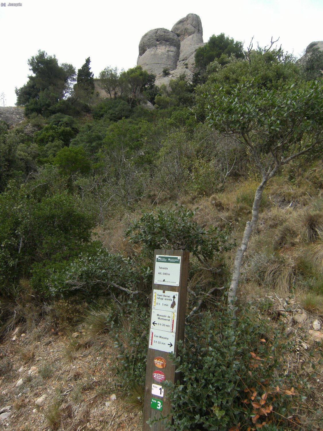 Tebaida y Sant Benet