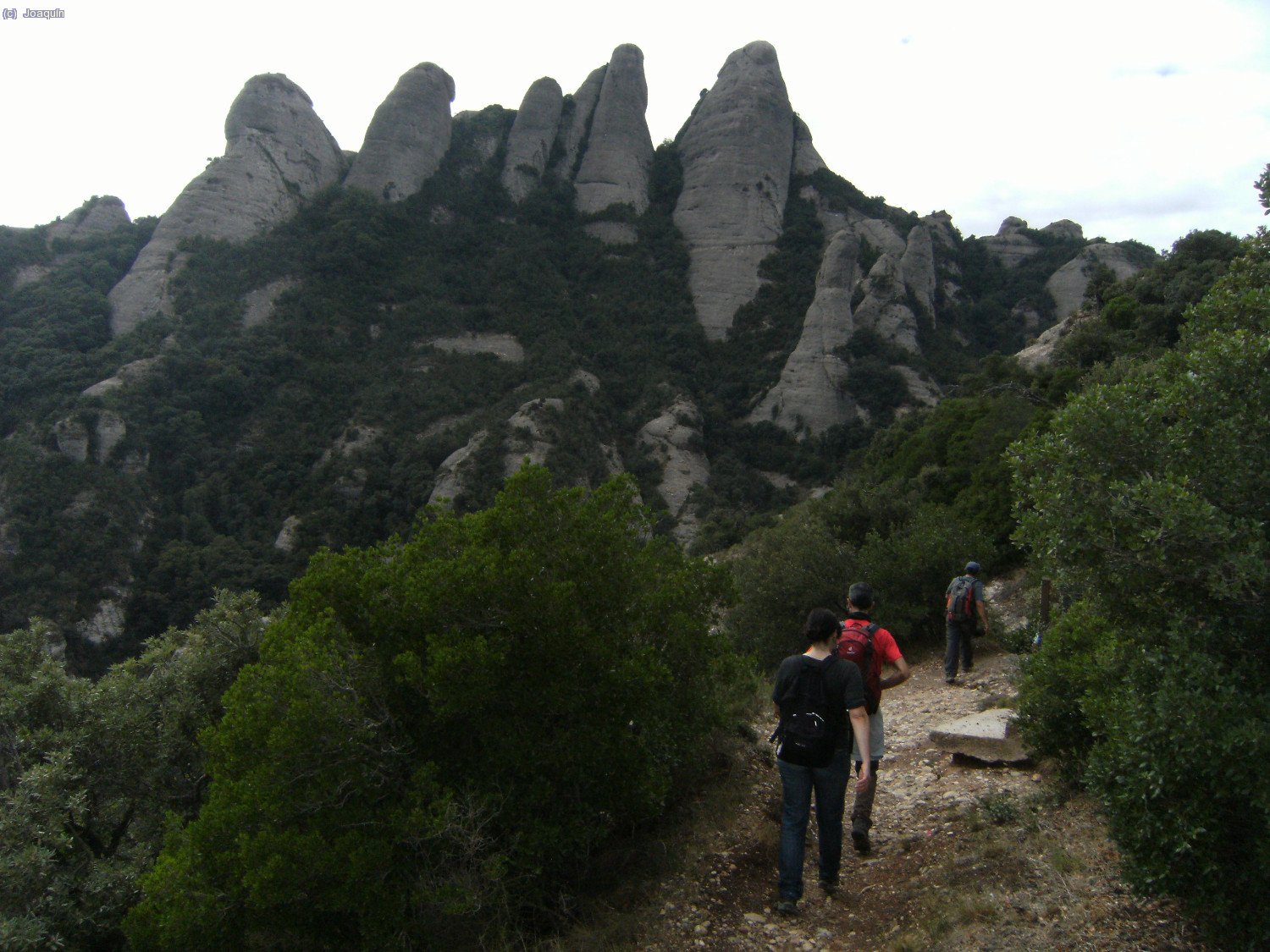 Tebaida y al fondo el conjuto de agujas de La Magdalena