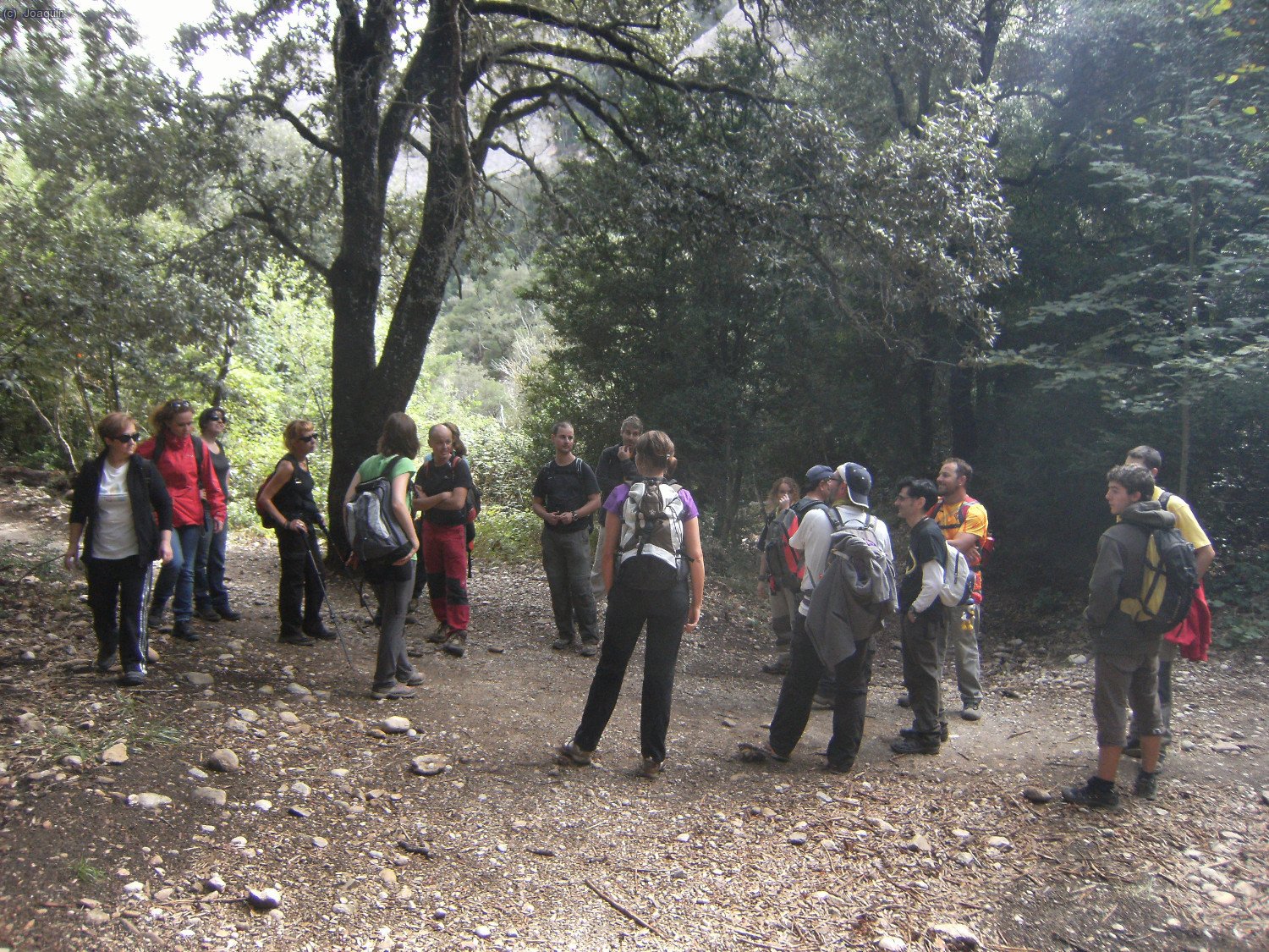 Pl&aacute; dels Ocells