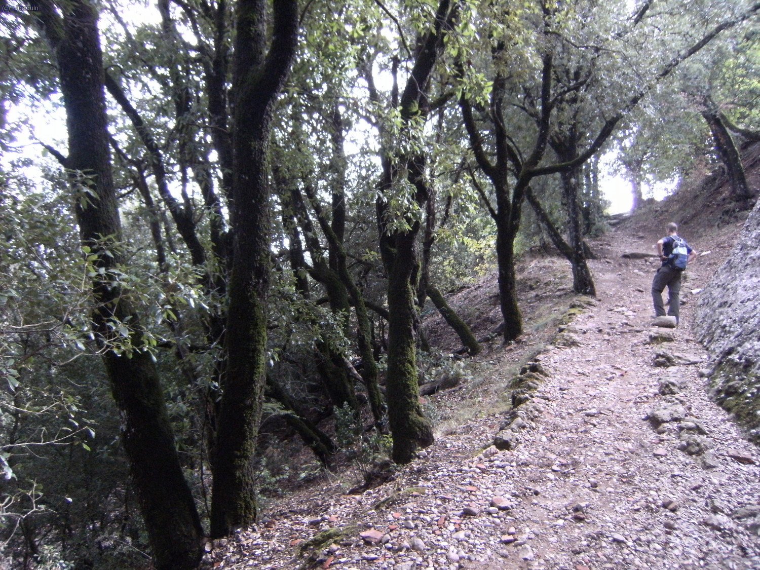 Subiendo al pico Sant Jeroni