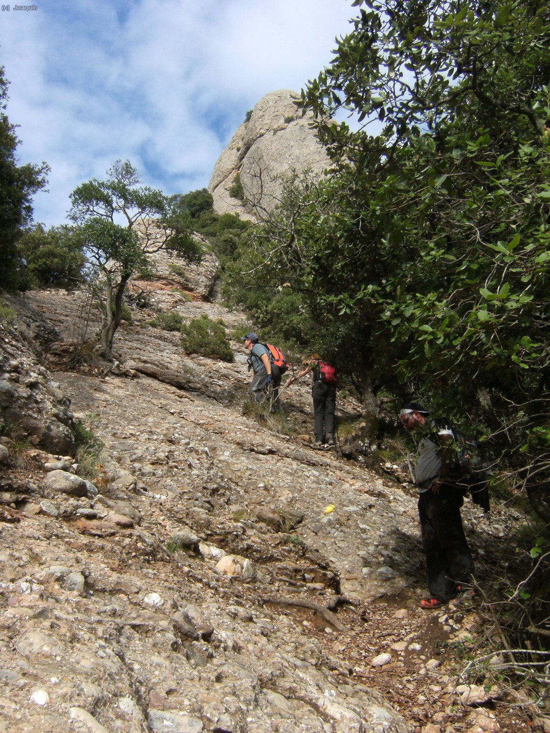 Cercan&iacute;as del Coll del Migd&iacute;a