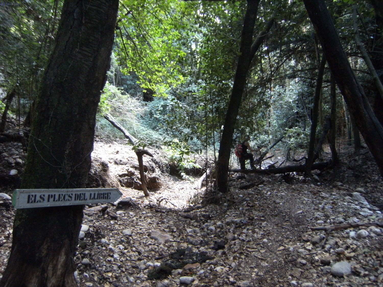 En el Torrent del Migd&iacute;a, cartel se&ntilde;alizador hac&iacute;a Els Plecs del Llibre