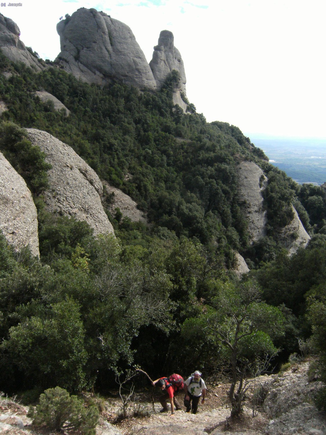 Cercan&iacute;as del Coll del Migd&iacute;a