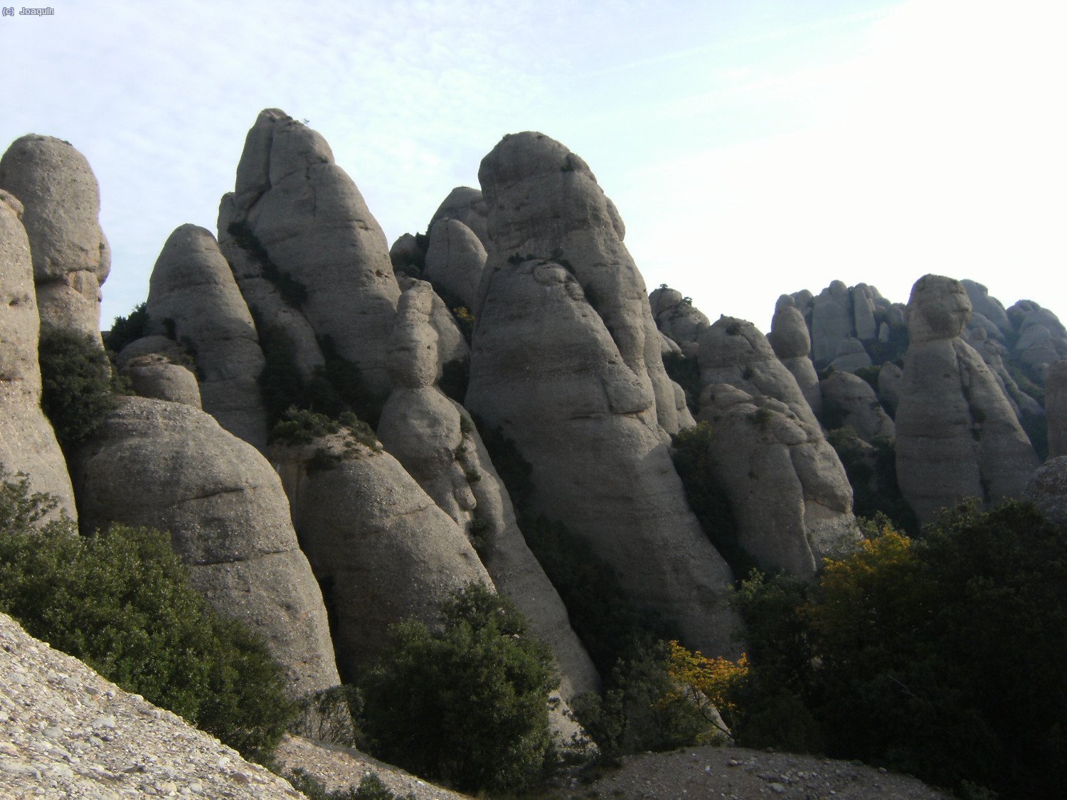 Les Agulles
