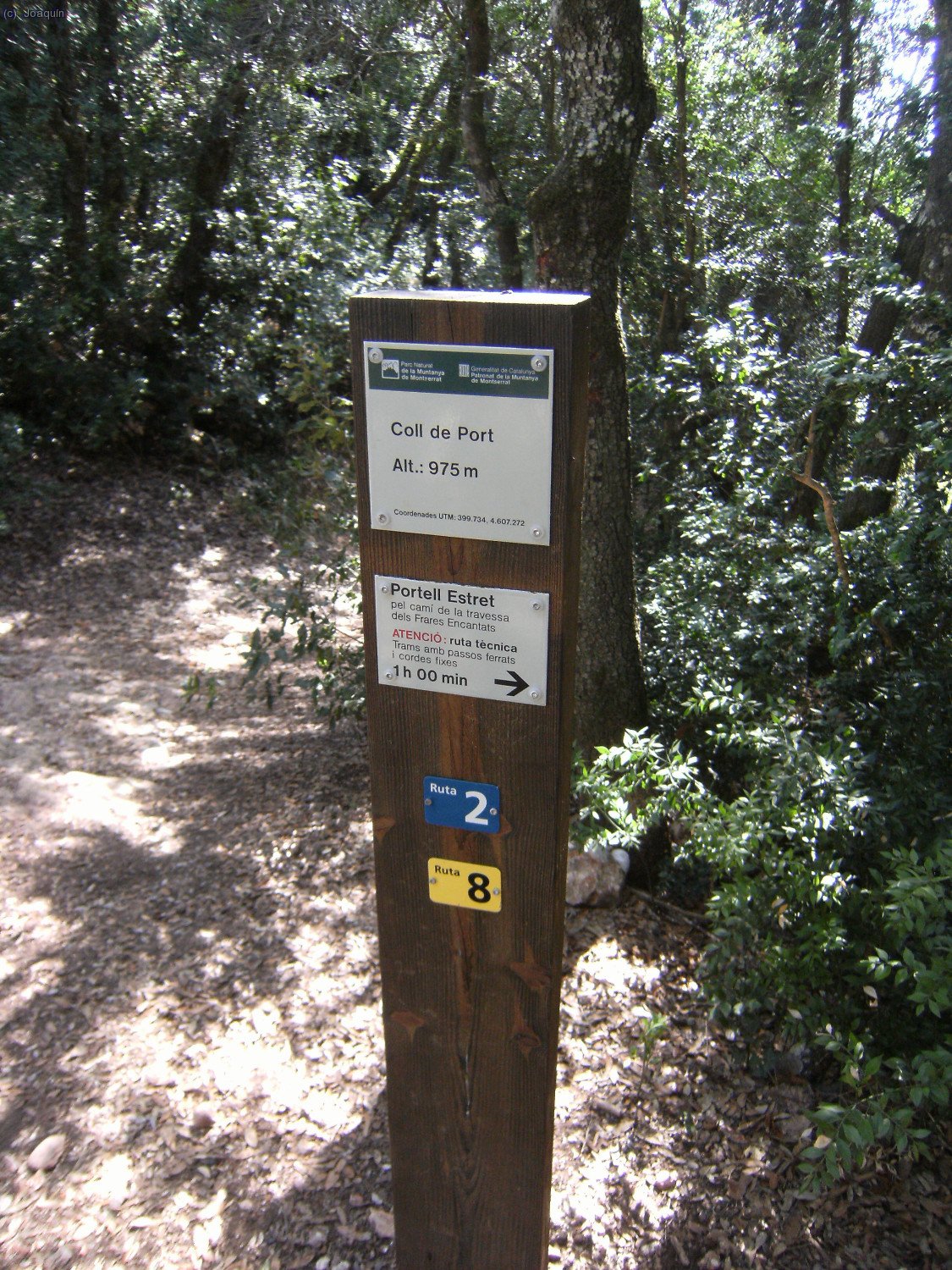 Coll del Port
