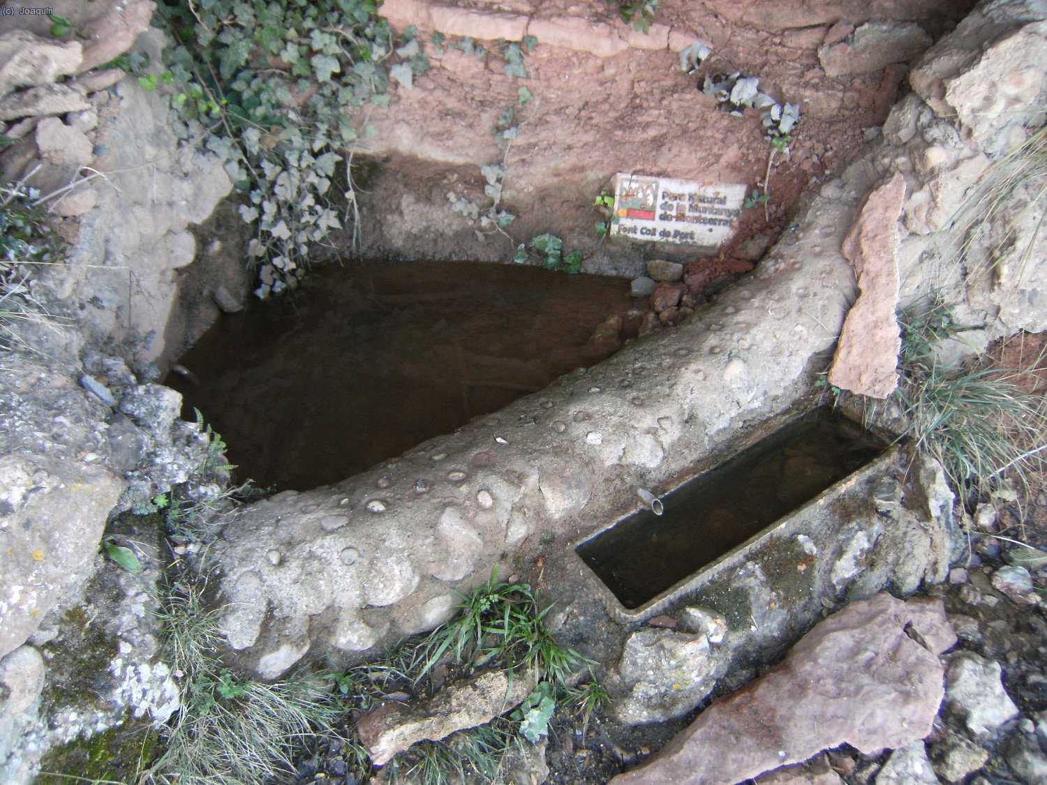 Font de Coll del Port