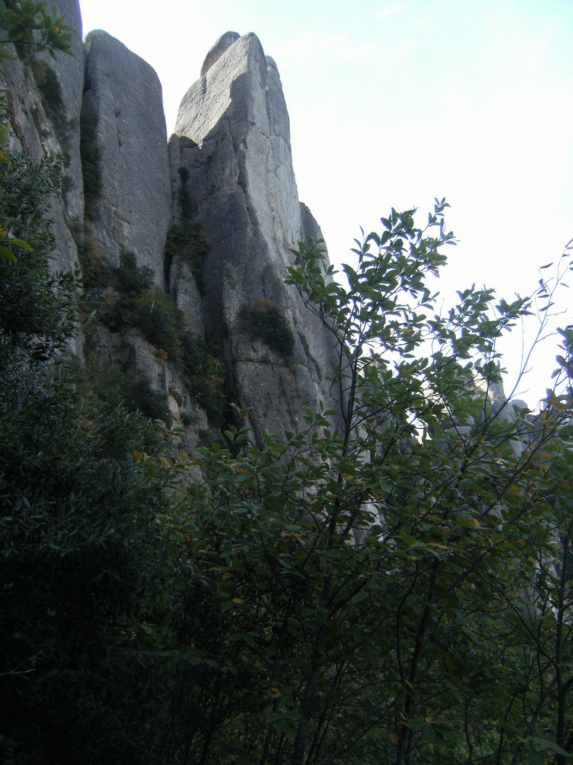Els Frares Encantats