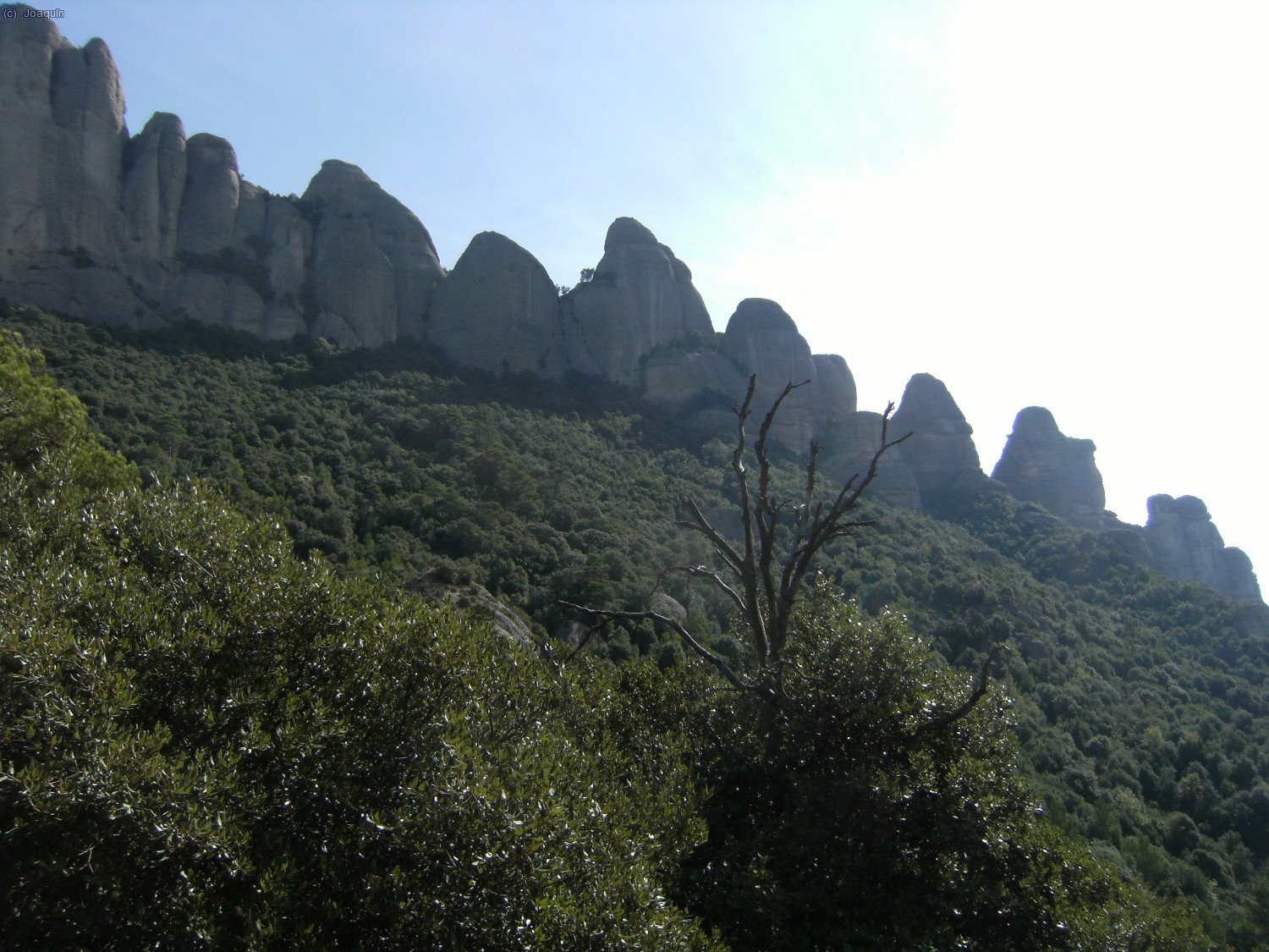 Montserrat y Les Agudes desde las cercan&iacute;as de Can Ma&ccedil;ana