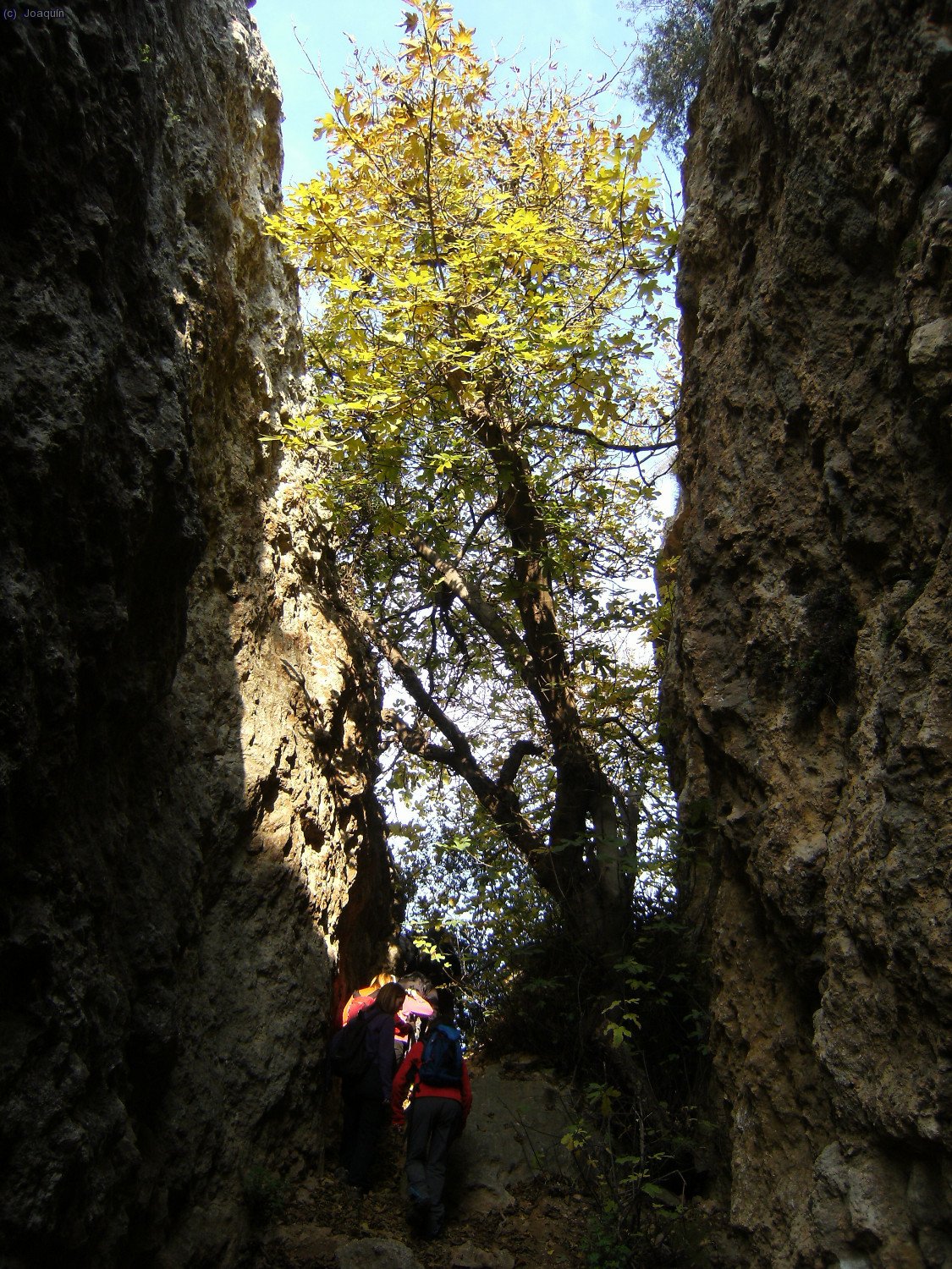 Les Escletxes. Saliendo de la primera grieta