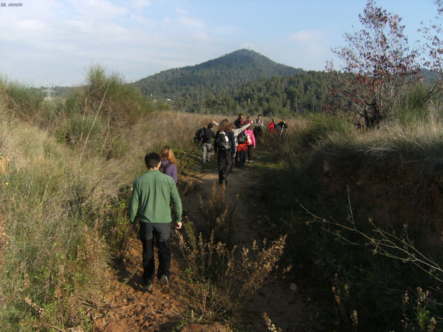Al fondo el Puig madrona