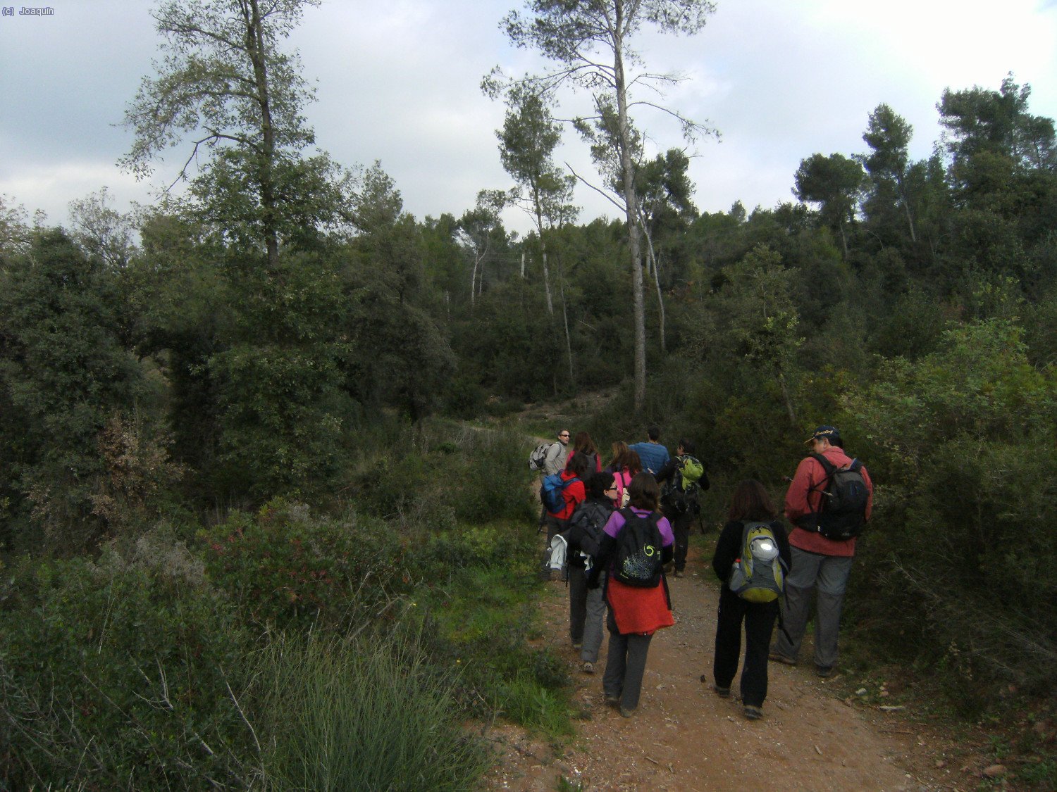 Principio del camino hac&iacute;a Coll d’en Faura