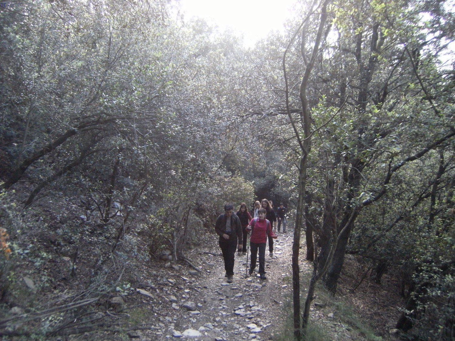 Entre los Torrents de La Font del Pedr&oacute; y el Torrent de La Mina