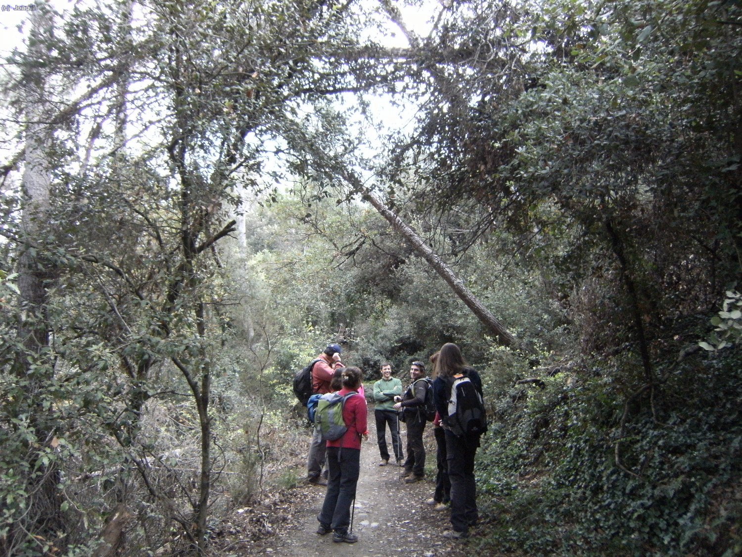 Entre los Torrents de La Font del Pedr&oacute; y el Torrent de La Mina